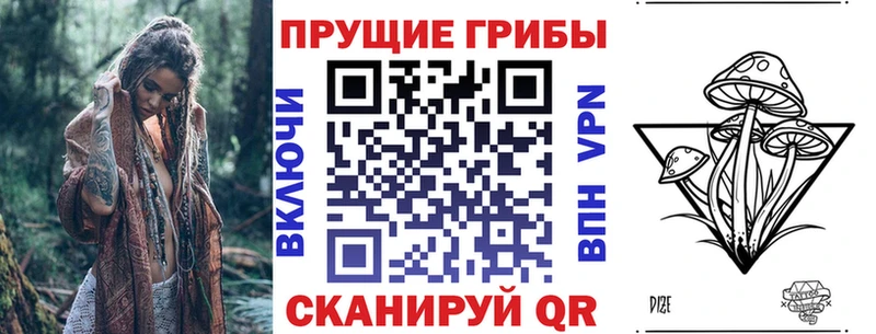 Псилоцибиновые грибы Psilocybe даркнет сайт Межгорье